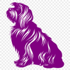 Creative Havanese In SVG Free Commercial Use Download