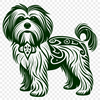 Stunning Standing Havanese - PNG Digital File