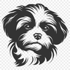 Creative Havanese PDF