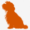 Stunning Havanese Printable Image - Free SVG Download