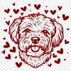 Stunning Havanese PNG - Free Commercial Use Download