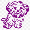 Sitting Havanese Decal