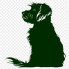 Sitting Havanese Printable Image - Free SVG