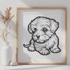 Havanese Image In SVG, PNG, PDF And DXF Formats