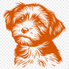 Beautiful Havanese Artwork