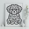 Havanese In SVG Format - Free Commercial Use License