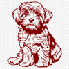 Unique Sitting Havanese In SVG - Commercial Use