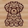 Free Curly Coat Illustration A small breed dog sitting on its hind legs, featuring a distinctive curly coat.