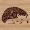 Sweet Hedgehog Snooze A digital illustration of a hedgehog in a sleeping position.