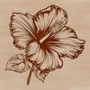 Free Vector Hibiscus Clipart Image Close-up view of a single hibiscus bloom with intricate details, ideal for graphic art and crafting projects.