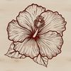 A stylized illustration of a tropical hibiscus flower with large, showy petals.