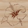 Pink and Orange Floral Pattern A vibrant hibiscus flower with large, showy petals in shades of pink and orange.