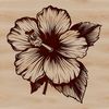A stylized illustration of a hibiscus flower, suitable for vector art and graphics design.
