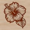 A colorful illustration of a single hibiscus flower with large, showy petals in a tropical garden setting.