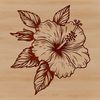 Close-up of a Hibiscus plant's large showy flowers, ideal for garden-themed clip art and vector graphics.