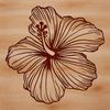 Illustration of a hibiscus flower, a tropical plant with large showy blooms.