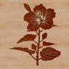 A detailed illustration of a single hibiscus flower with multiple petals, suitable for digital art projects.