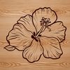 Delicate White Hibiscus Bloom A close-up illustration of a hibiscus flower, featuring delicate white petals and a prominent center.