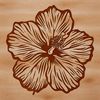 A colorful illustration of a hibiscus plant with large, showy flowers.
