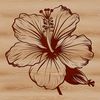 Detailed Hibiscus Petal Vector Art Vector illustration of a hibiscus flower with detailed petals and center details.