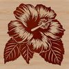 An isolated floral design featuring a single hibiscus bloom in detailed, high-quality vector format.