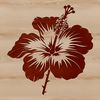 A detailed illustration of a hibiscus flower with five showy petals and prominent stamens.