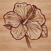 A detailed illustration of a hibiscus flower with petals and center detail.