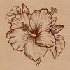Illustrative hibiscus flower with detailed petals and center, suitable for vector design and commercial use.