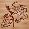 A colorful illustration of a hibiscus flower with detailed petals.