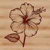 Free Vector Illustration of a Beautiful Flower A colorful hibiscus flower illustration in vector format, suitable for graphic design and printing.
