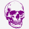 Artistic Skull - PNG For Commercial Use