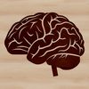 Illustration of the human brain's anatomy, a detailed vector graphic suitable for various applications.
