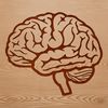 Anatomical illustration of the human brain, highlighting its various regions and structures.