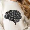 Detailed Human Brain Illustration SVG File An illustration of the human brain, highlighting its internal structure and external features.