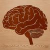 Beautiful Brain Diagram Art An illustration of the human brain's anatomy, with labeled sections and detailed structures.