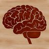 Detailed illustration of the human brain highlighting its anatomy.