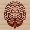 Scalable Brain Graphic Design A detailed illustration of the human brain's anatomy, created as a scalable vector graphic for various applications.