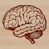 High-Res Vector Human Brain Art A detailed illustration of the human brain's anatomy, rendered in high-resolution vector format.