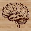 Detailed Brain Structure Graphic A detailed illustration of the human brain highlighting its various parts and structures.