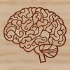 Detailed diagram illustrating the anatomy of the human brain, suitable for educational or professional purposes.