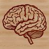 Beautiful Vector Brain Illustration Anatomical illustration of the human brain, depicted as a vector graphic for educational and creative purposes.
