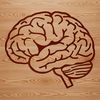 A detailed illustration of a human brain, highlighting its various structures and regions.