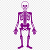 Standing Skeleton DXFs - Free Commercial Use