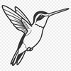 Beautiful Bird perched on a Flower Vector Art Close-up illustration of a hummingbird perched on a flower, detailed vector art.
