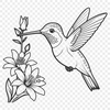 Hummingbird Feather Close-Up Close-up illustration of a hummingbird's plumage and beak, created as a scalable SVG graphic.