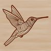 A detailed vector graphic of a hummingbird with exaggerated features, suitable for various design applications.