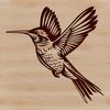 A small, iridescent hummingbird in flight, with its wings spread wide.