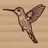Illustrative drawing of a hummingbird in flight, highlighting its distinctive features and colors.