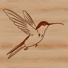 An animated vector design of a wild hummingbird in motion.