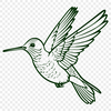 Creative Hummingbird In SVG - For Free Download, Commercial Use